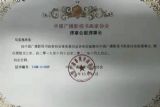 中国广播影视书画家协会理事会副理事长证书